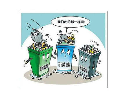 構(gòu)建高效城市生活垃圾分類(lèi)管理體系 策略與實(shí)踐